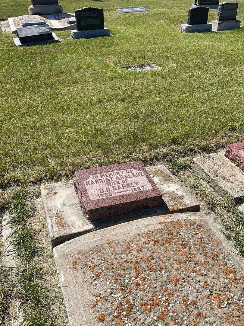Harriat Adalade Fairchild Carney's grave. Photo 2