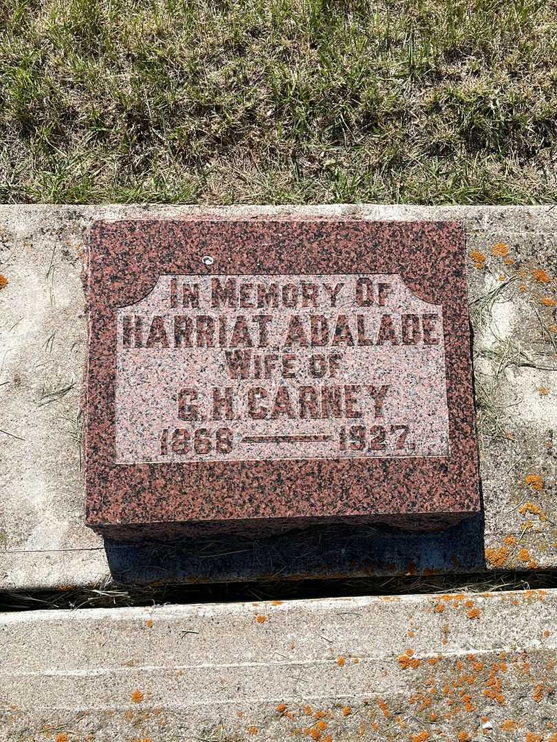 Harriat Adalade Fairchild Carney's grave. Photo 3