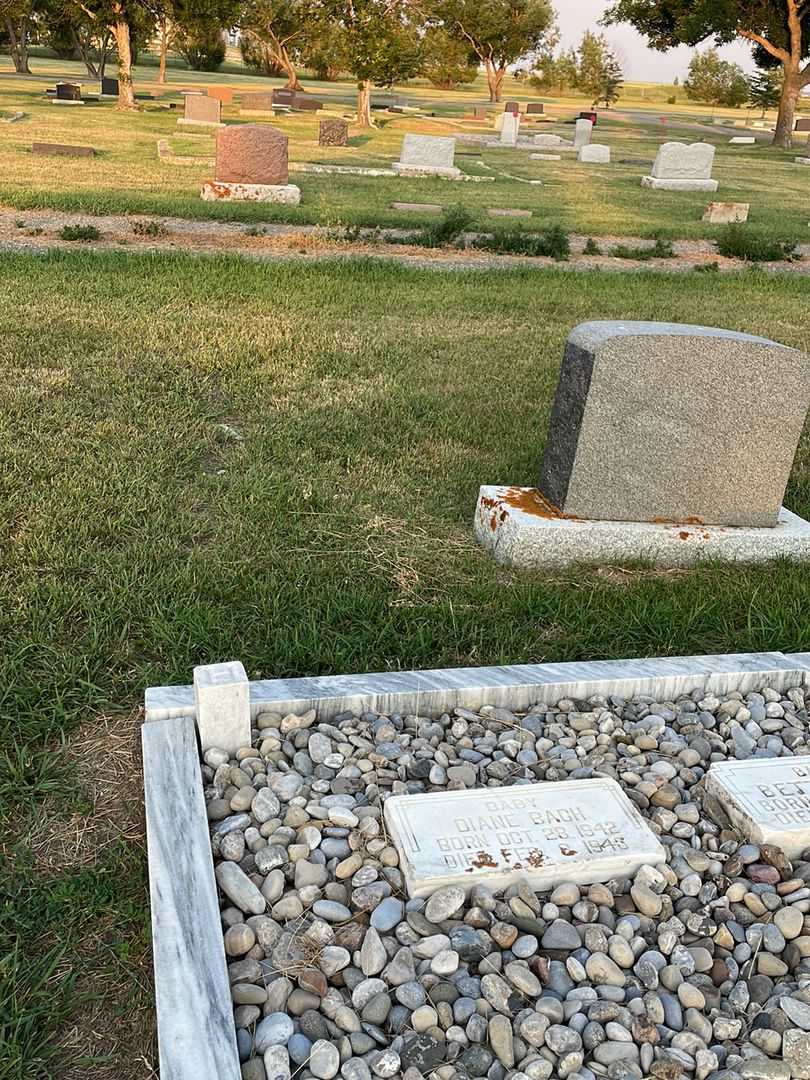 Diane Bach's grave. Photo 2