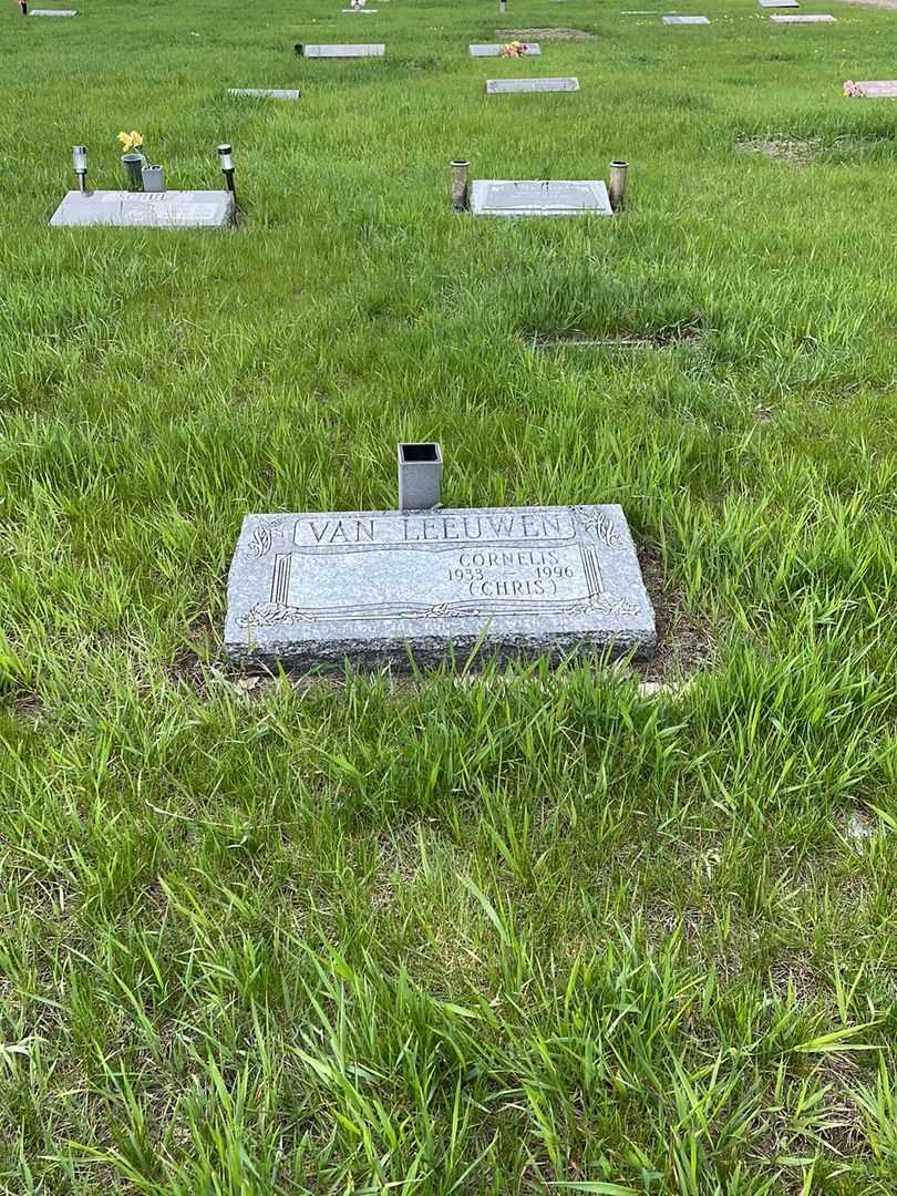 Cornelis "Chris" Van Leeuwen's grave. Photo 2