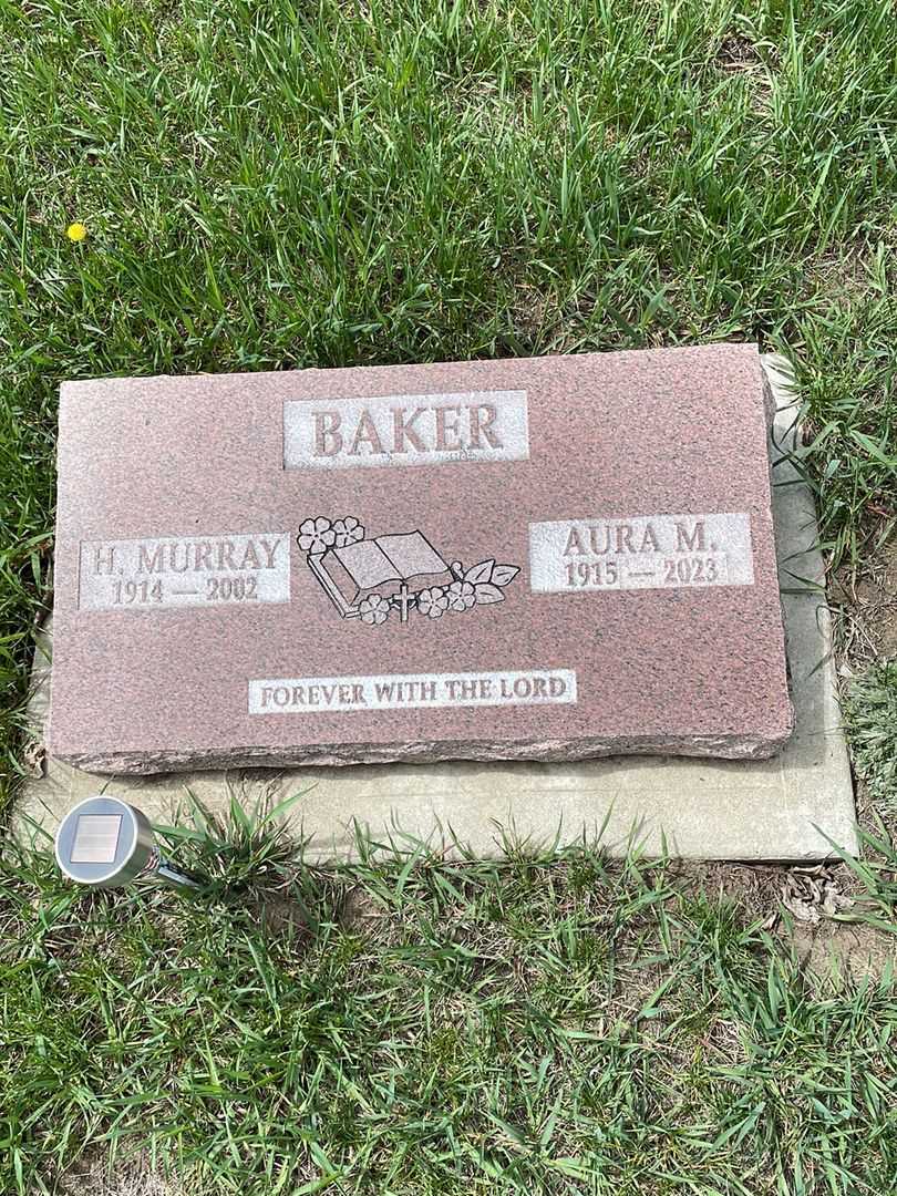 Harold Murray Baker's grave. Photo 1