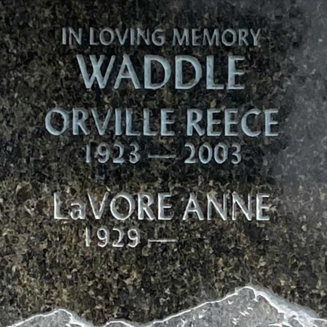 Orville Reece Waddle's grave