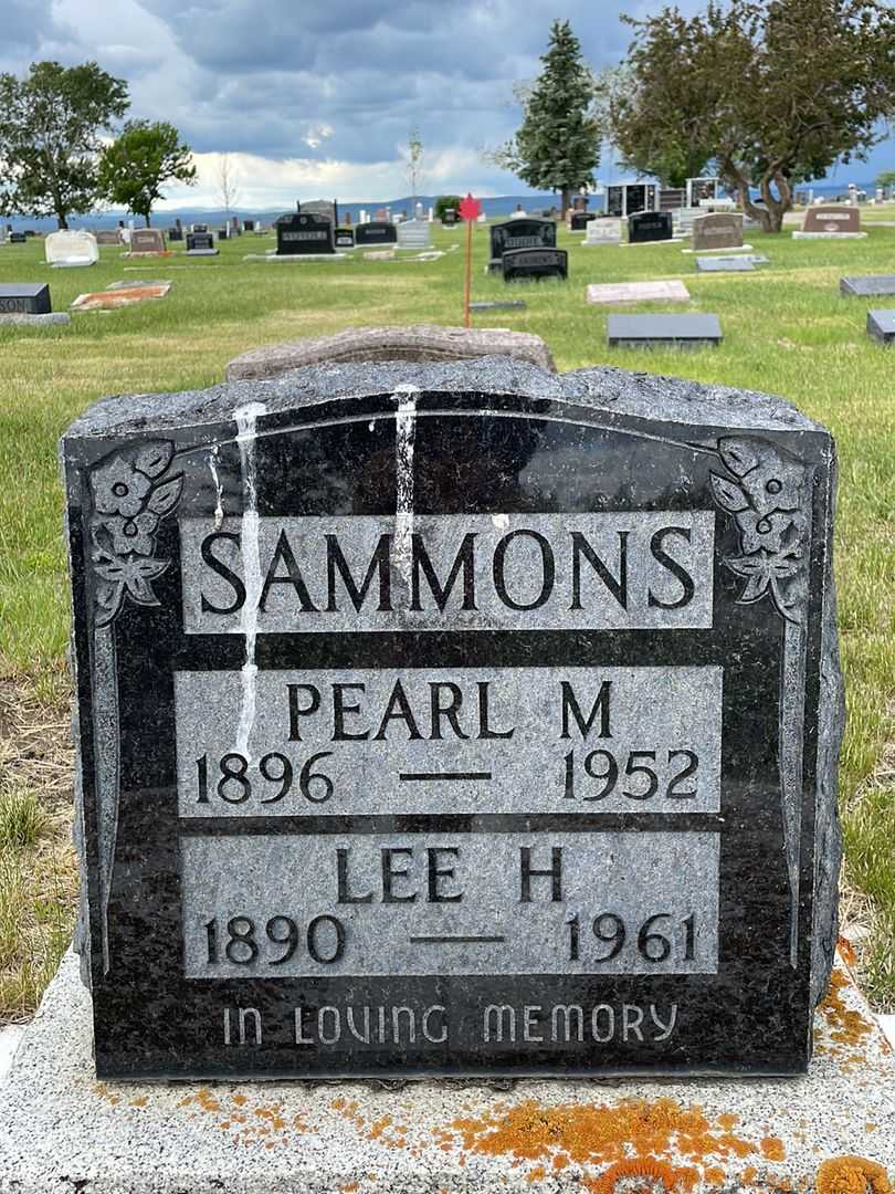 Lee Horace Sammons's grave. Photo 1