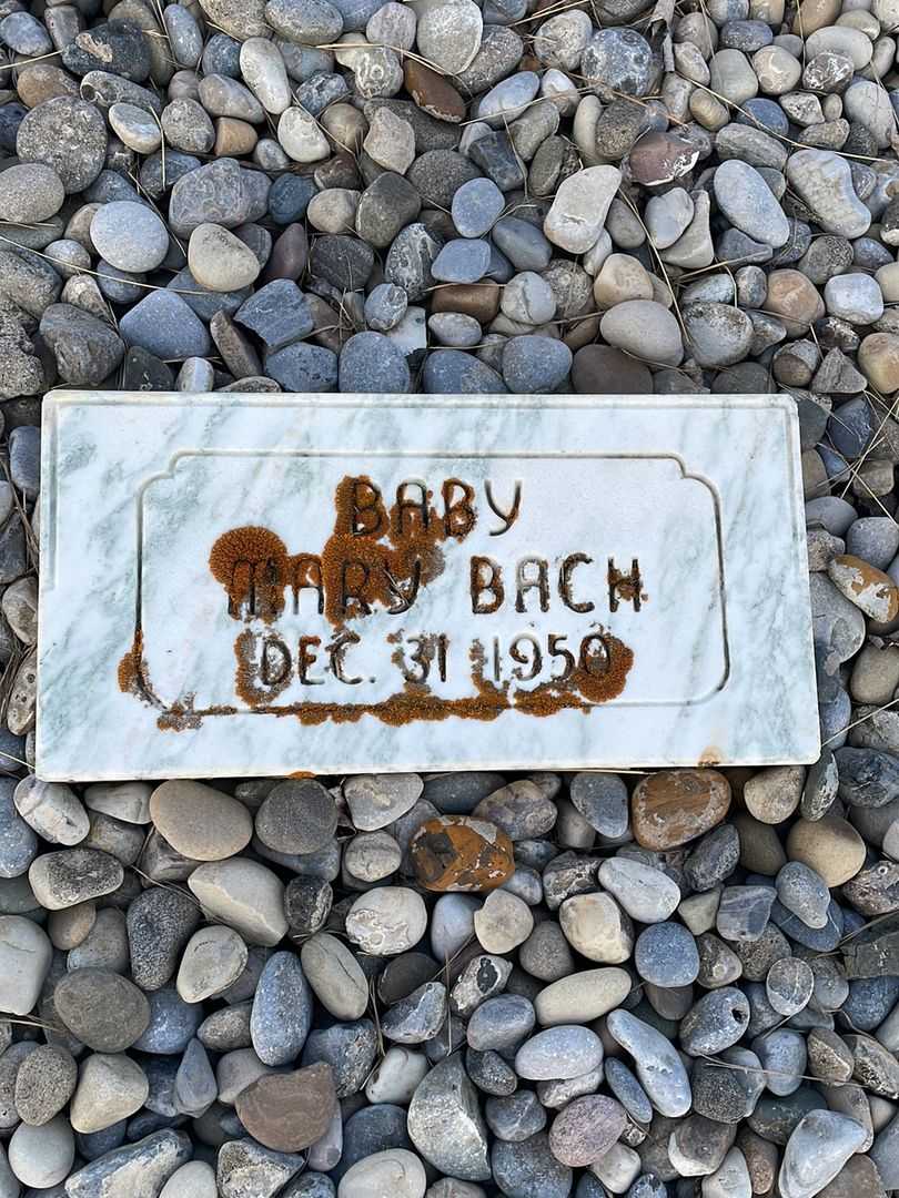 Beatrice Mary "Betty" Bach's grave. Photo 4