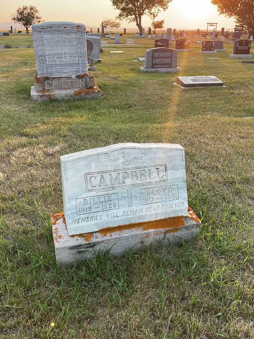 Lloyd Campbell's grave. Photo 2