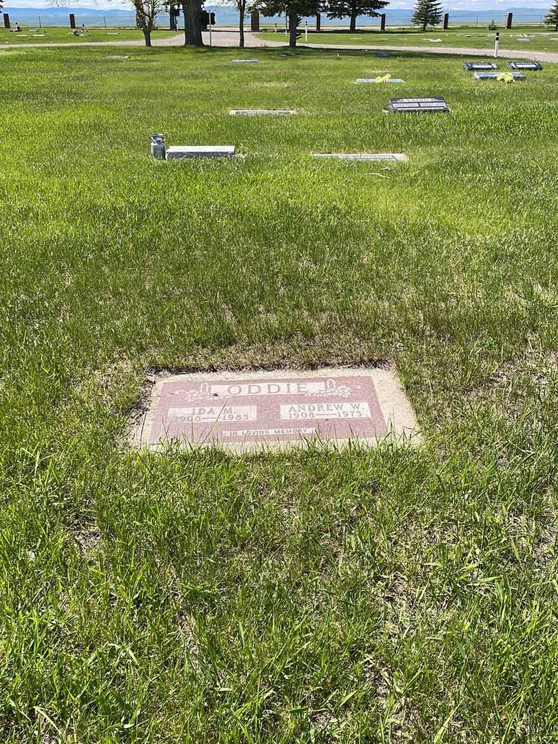 Andrew William Scottie Oddie's grave. Photo 2