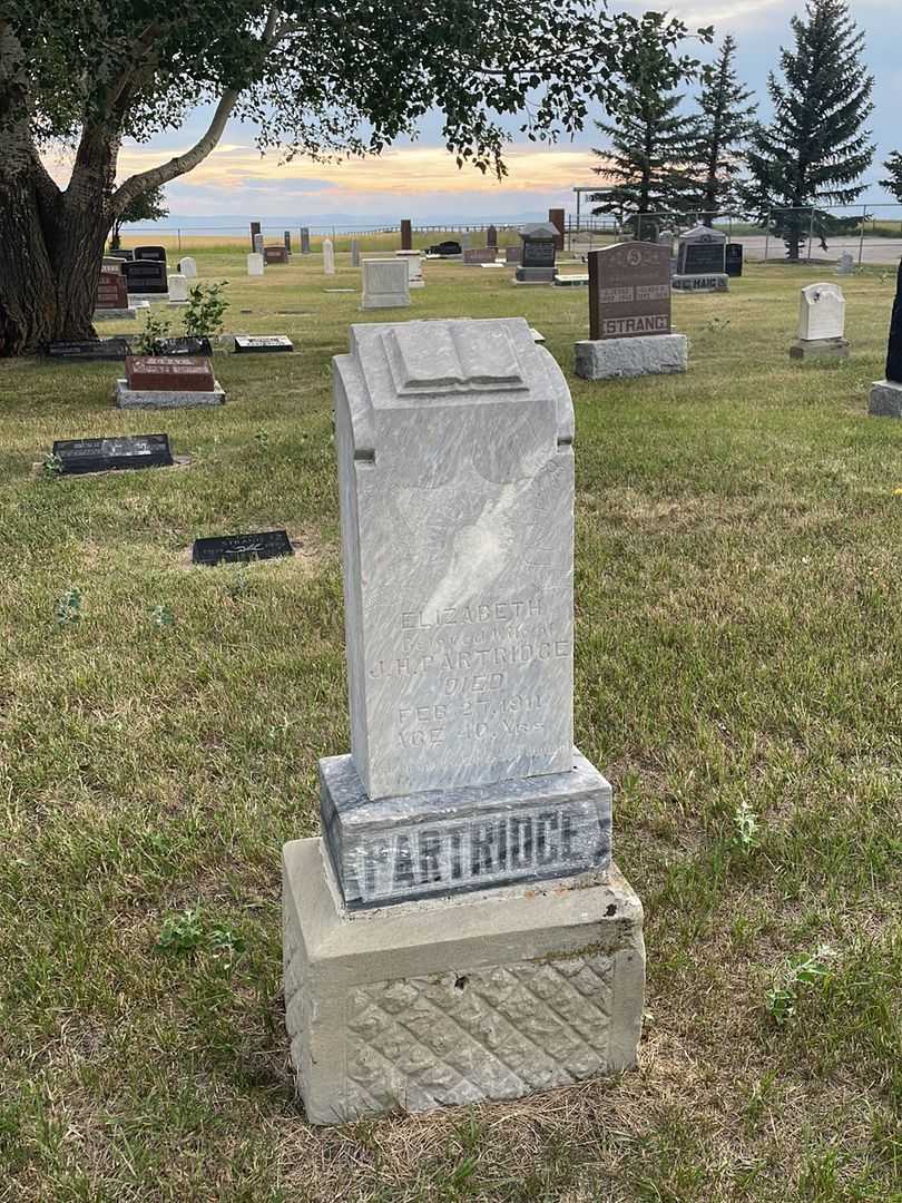 Missus/Madam Elizabeth J. H. Partridge's grave. Photo 2
