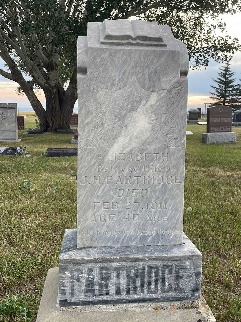 Missus/Madam Elizabeth J. H. Partridge's grave. Photo 1