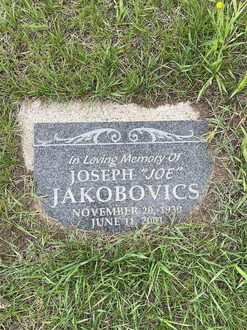 Joseph "Joe" Jacobovics's grave. Photo 1