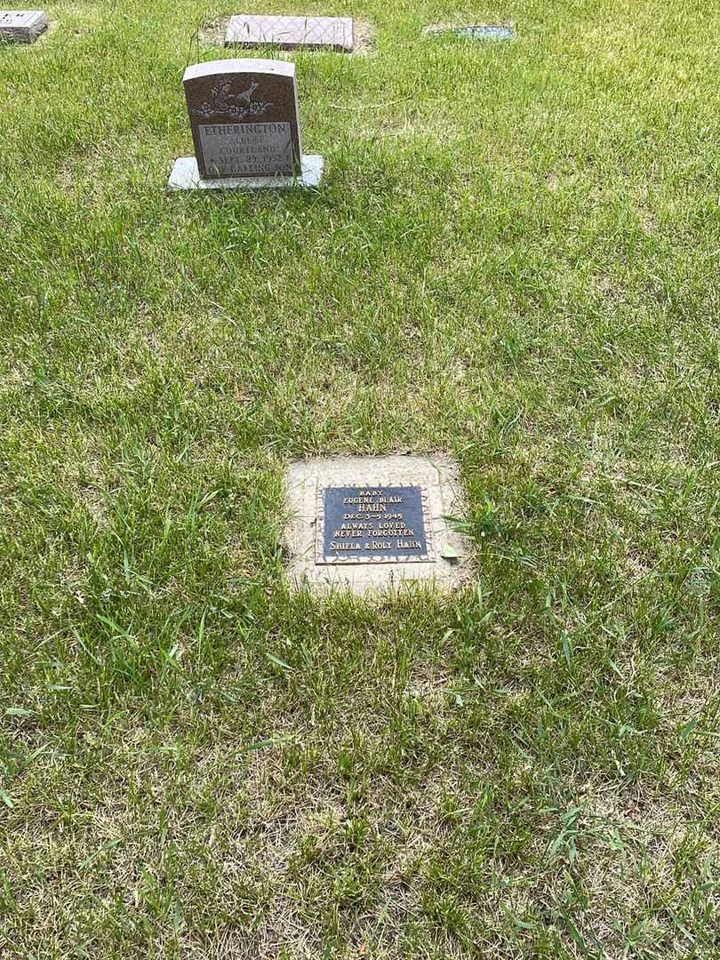 Eugene Blair Hahn's grave. Photo 2