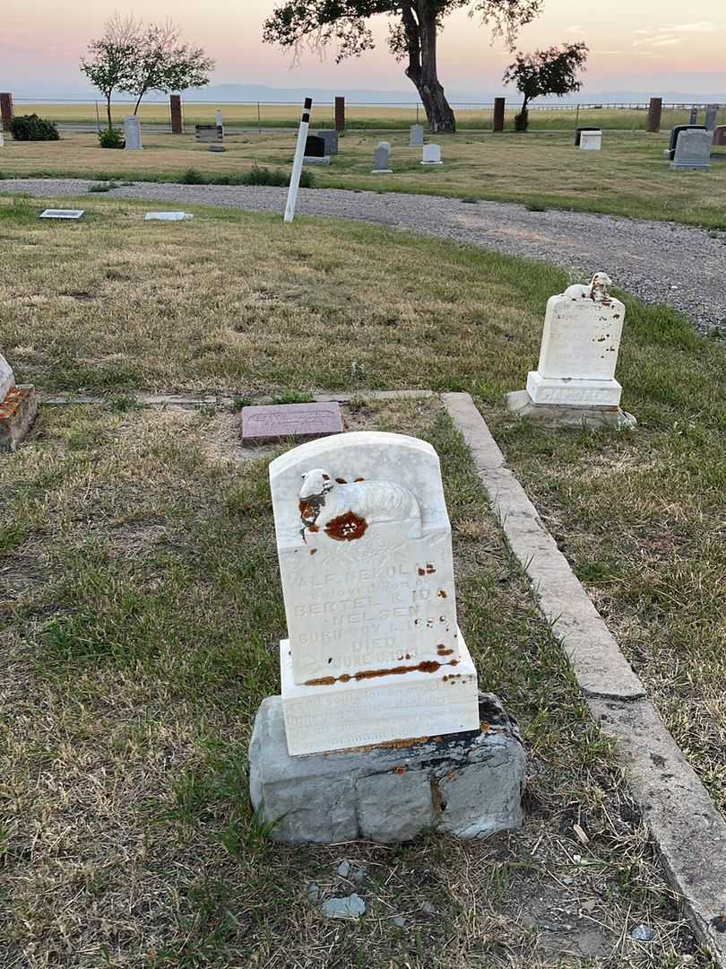 Alf Nekolae Nelsen's grave. Photo 2
