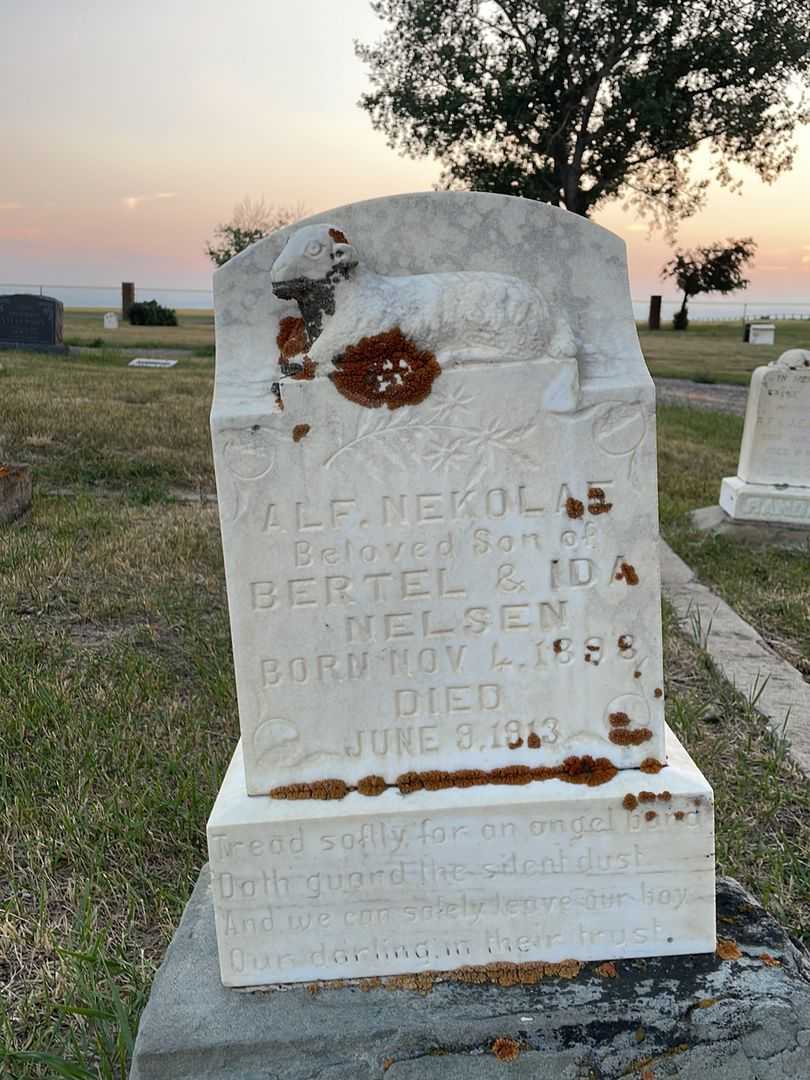 Alf Nekolae Nelsen's grave. Photo 1