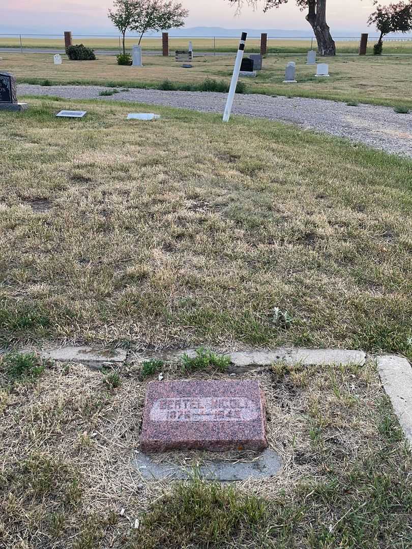 Bertel Nicoli Nelsen's grave. Photo 2
