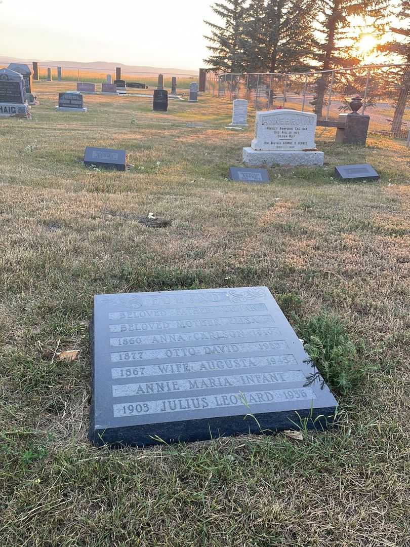 Otto David Edlund's grave. Photo 2