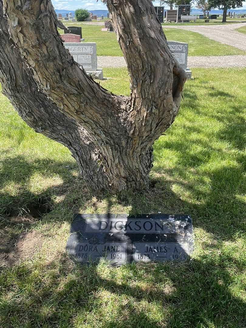 James Alexander Dickson's grave. Photo 2