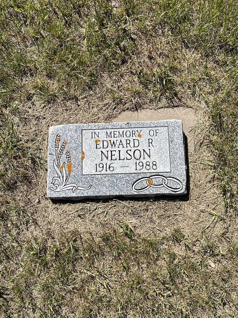Edward Ross Nelson's grave. Photo 1