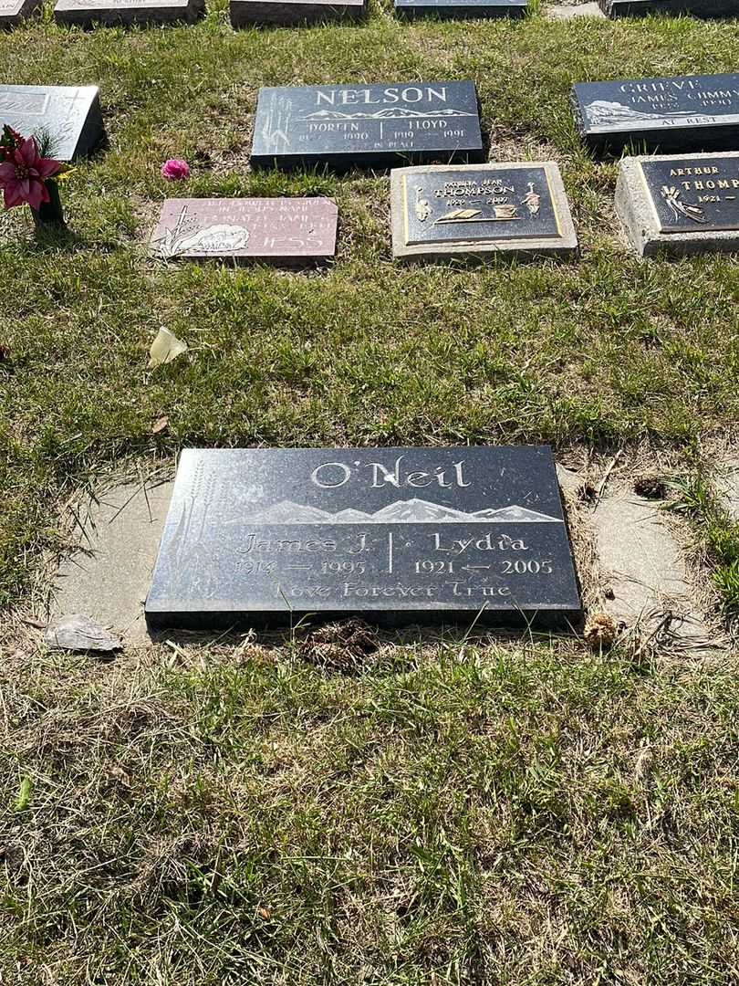 Lydia O'Neil's grave. Photo 2