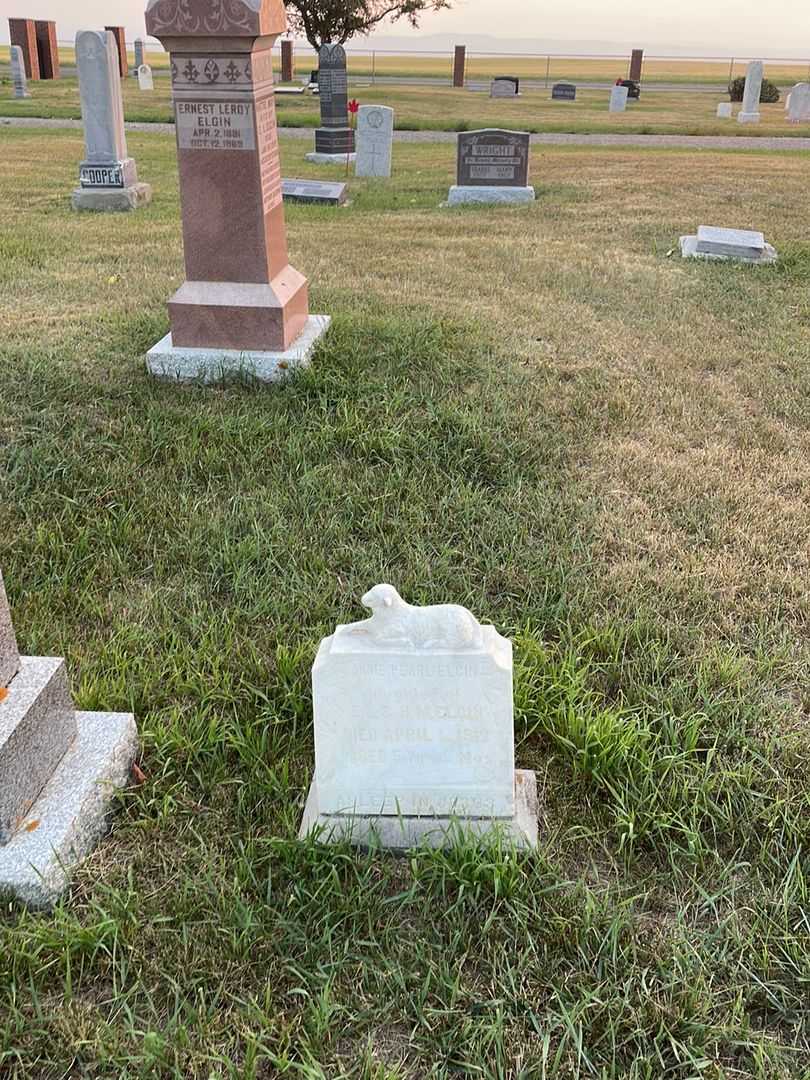 Annie Pearl Elgin's grave. Photo 2