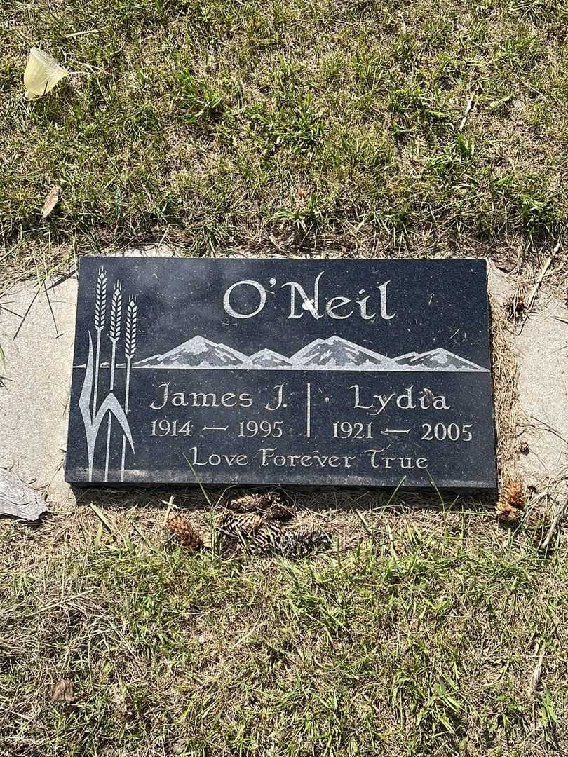 Lydia O'Neil's grave. Photo 1