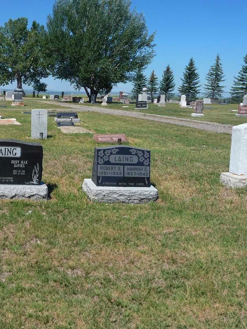 Robert Shadrack Laing's grave. Photo 2