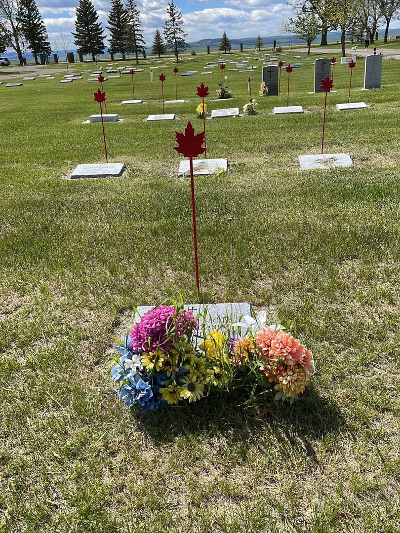 Joseph Marian Sacha's grave. Photo 2