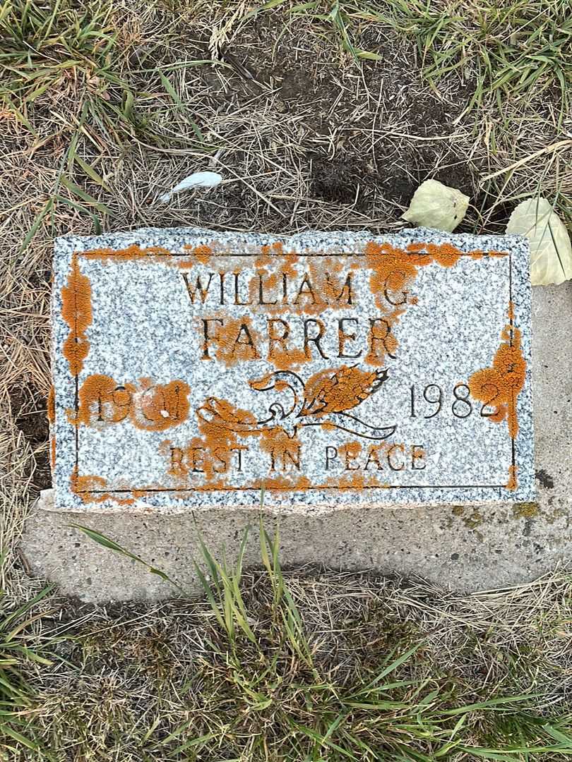 William George Farrer's grave. Photo 3