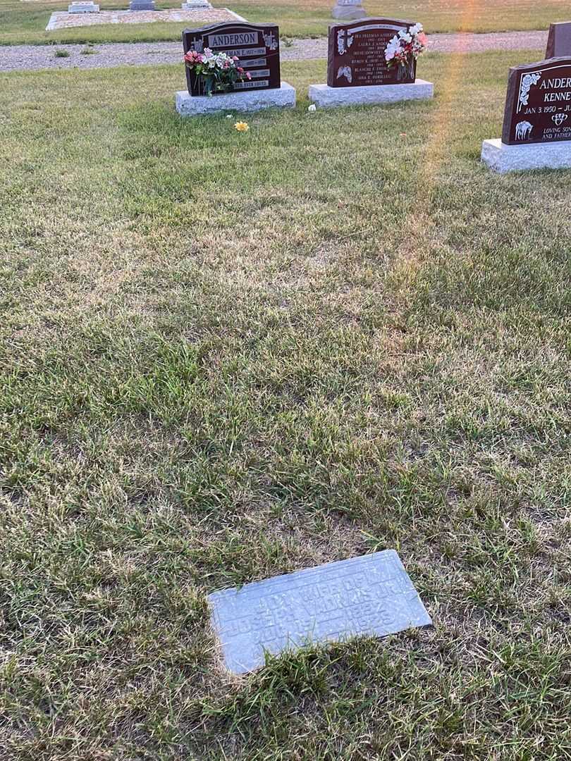 Joy Vadnais's grave. Photo 2