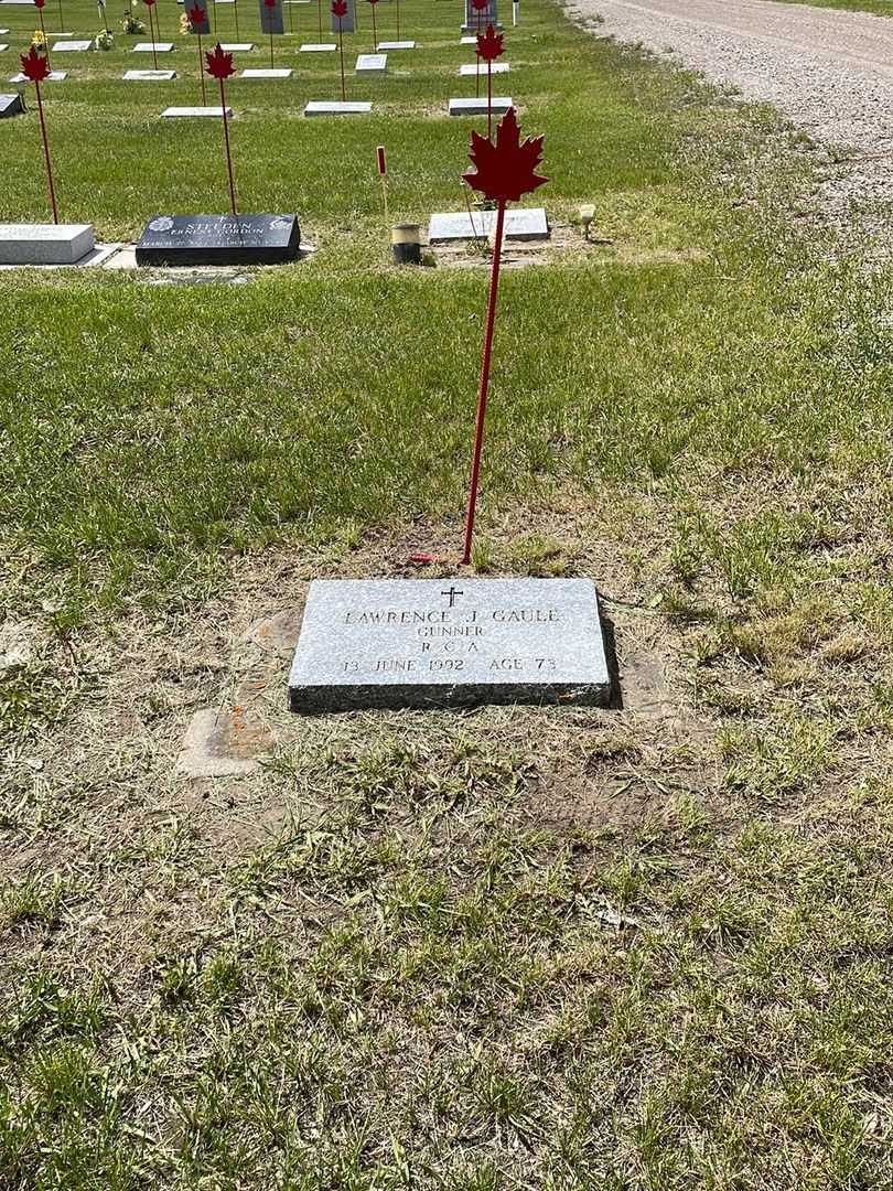 Lawrence J. Gaule's grave. Photo 2