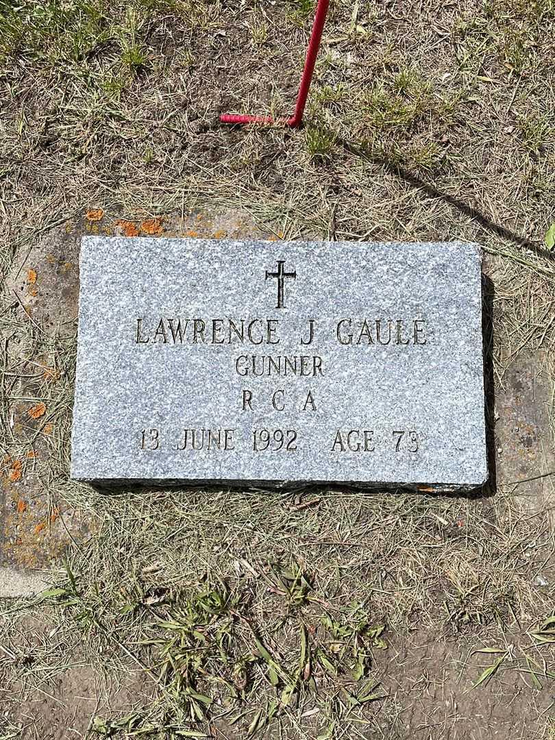 Lawrence J. Gaule's grave. Photo 1