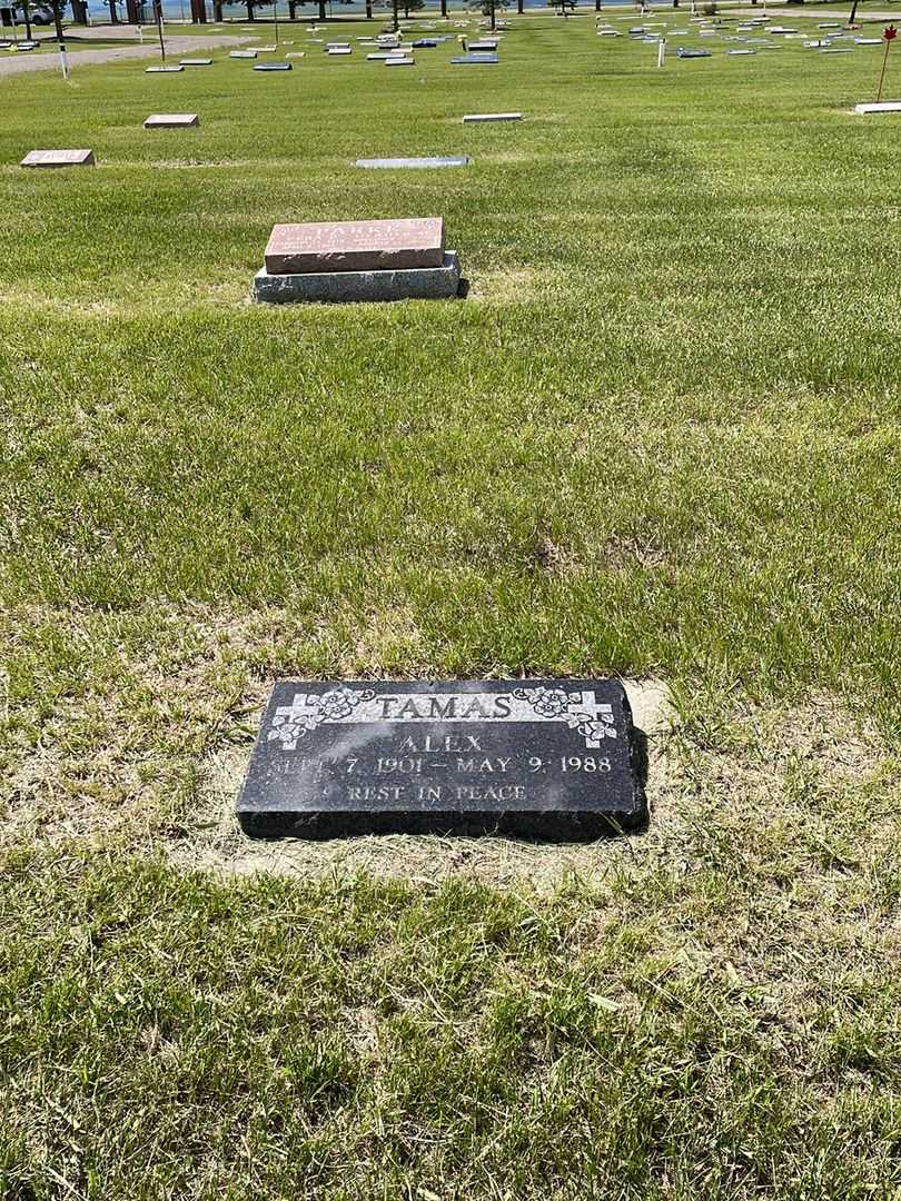 Alex Tamas's grave. Photo 2