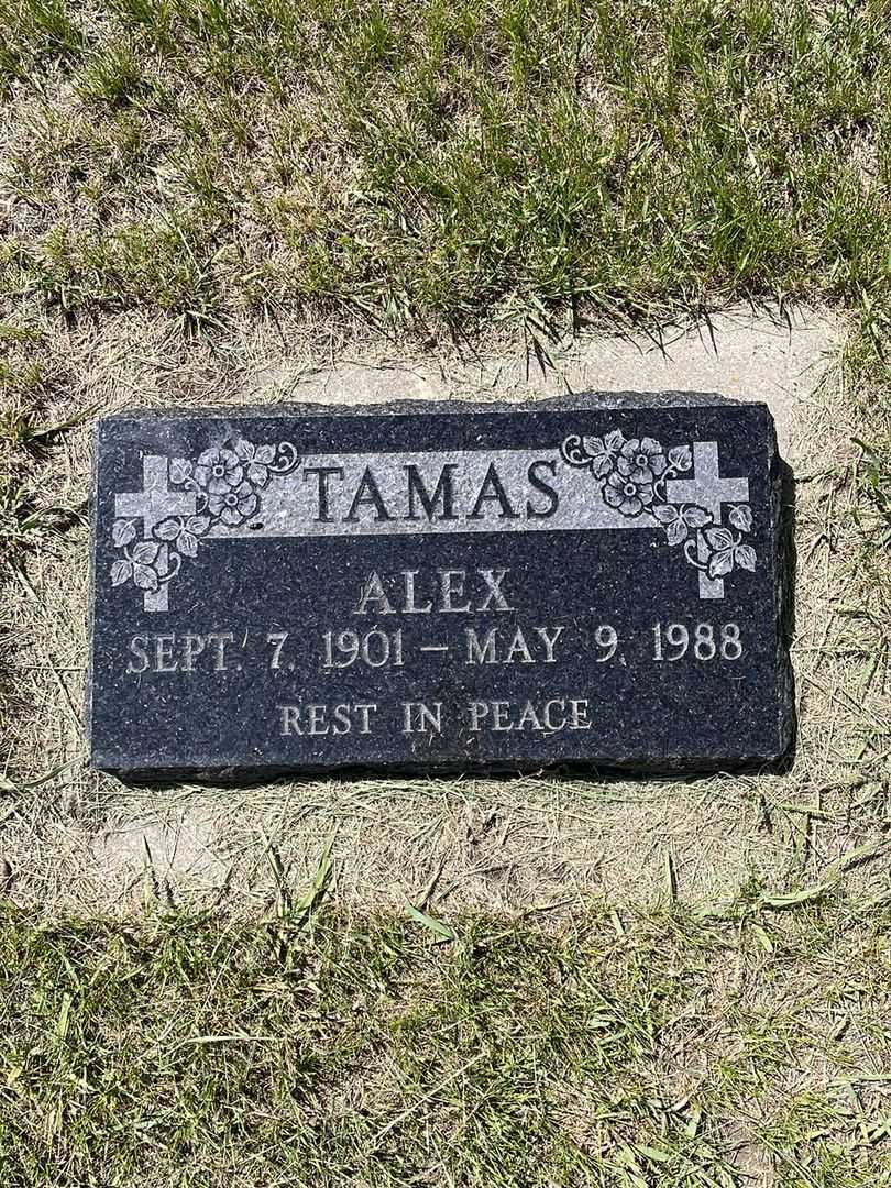 Alex Tamas's grave. Photo 1