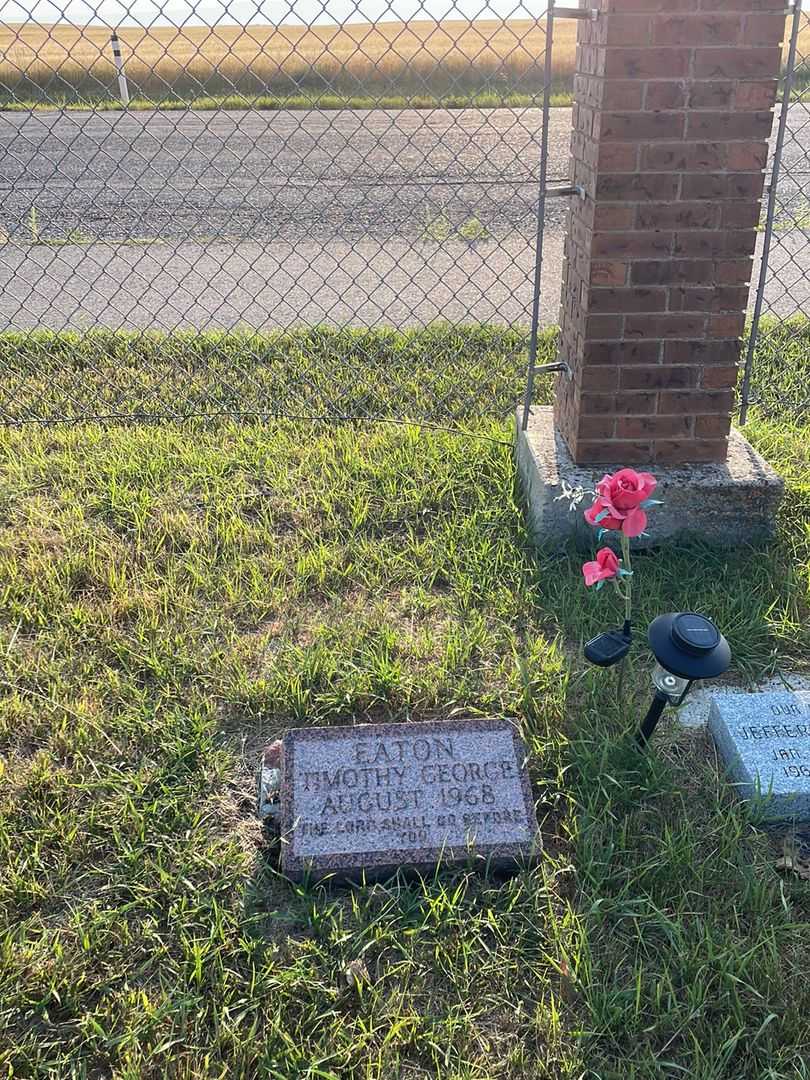 Baby Timothy George Eaton's grave. Photo 2
