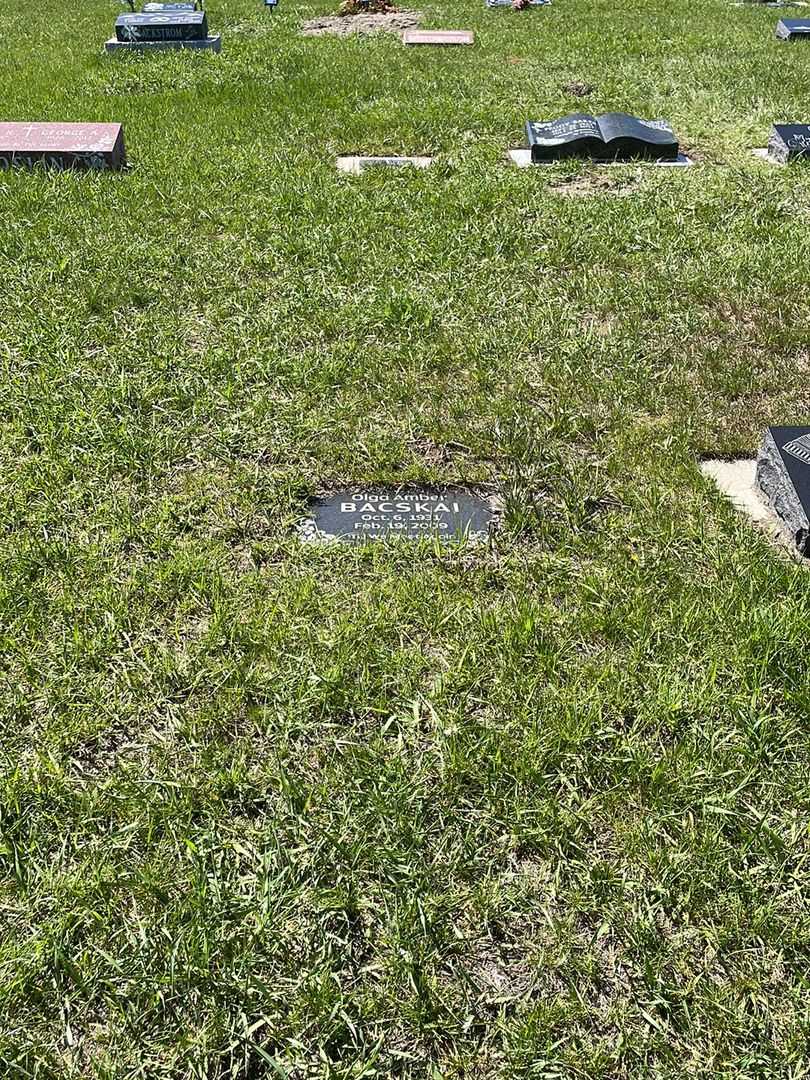 Olga Amber Bacskai's grave. Photo 2