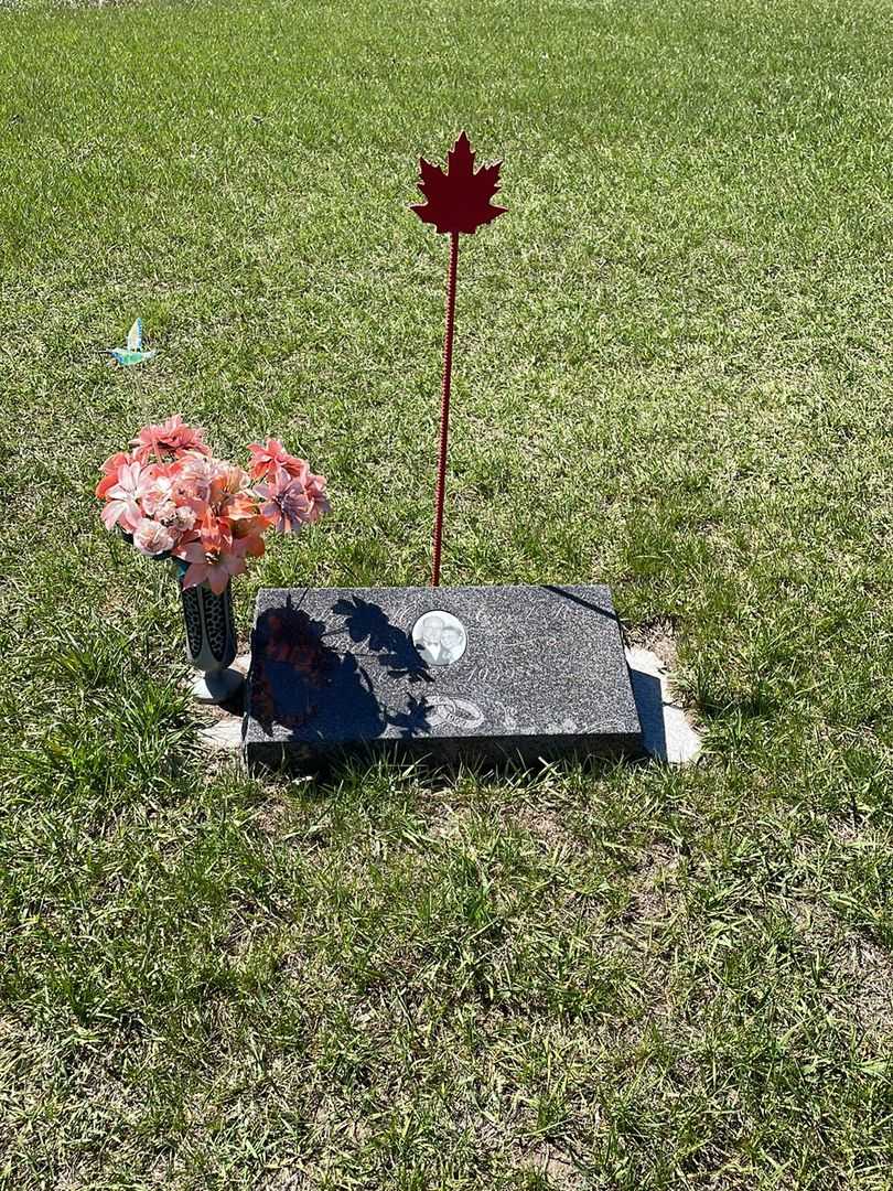 William Henry Wale's grave. Photo 2