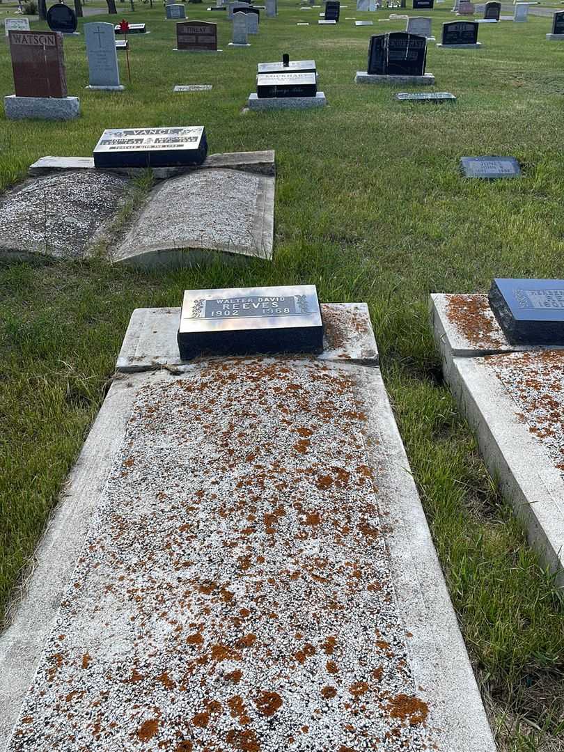 Walter David Reeves's grave. Photo 2