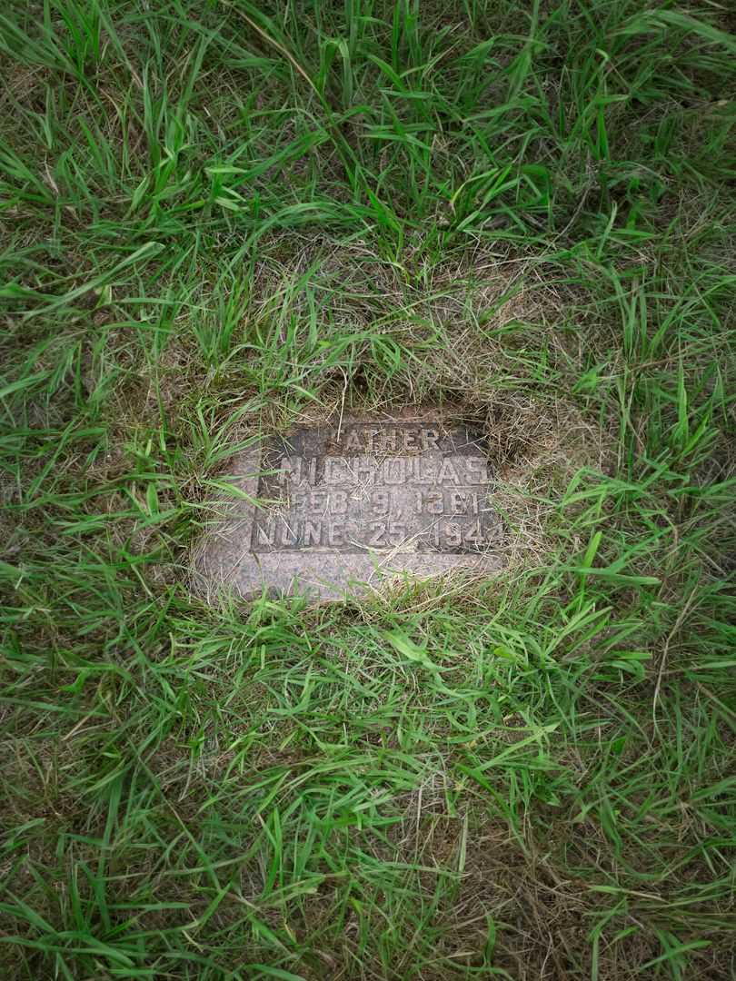 Nicholas Taitinger's grave. Photo 2