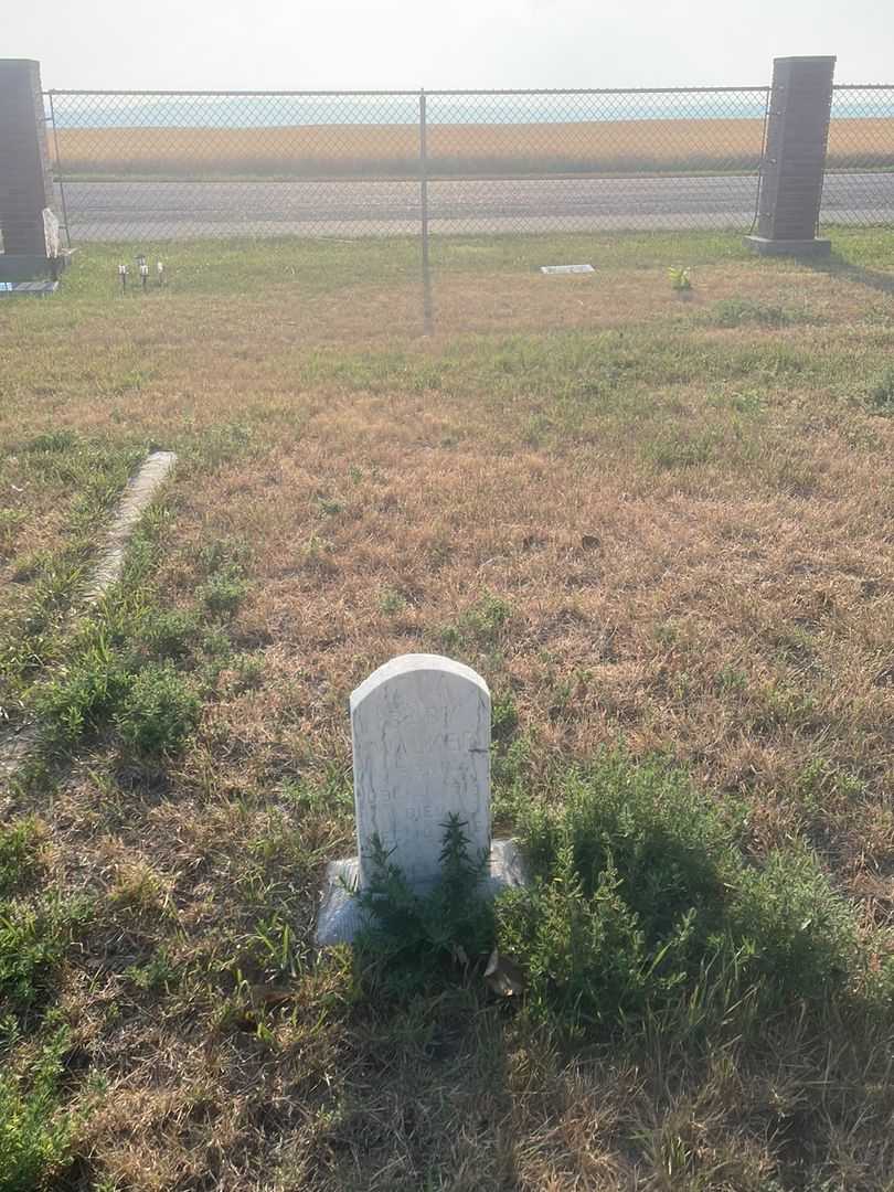 Baby Girl Walker's grave. Photo 2
