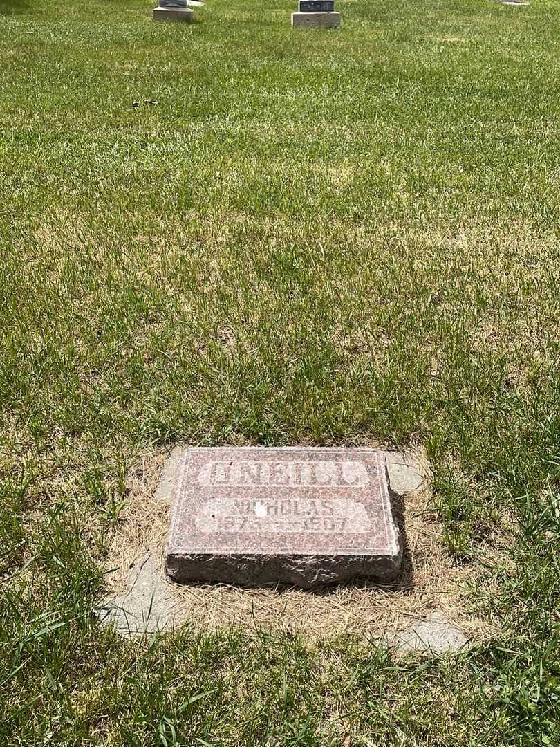 Nicholas O'Neill's grave. Photo 2