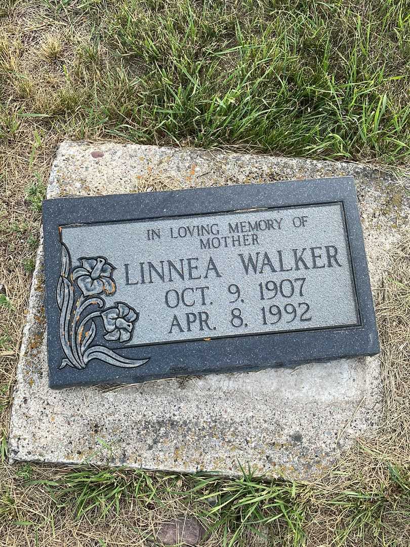 Gordon Beverly Walker's grave. Photo 3