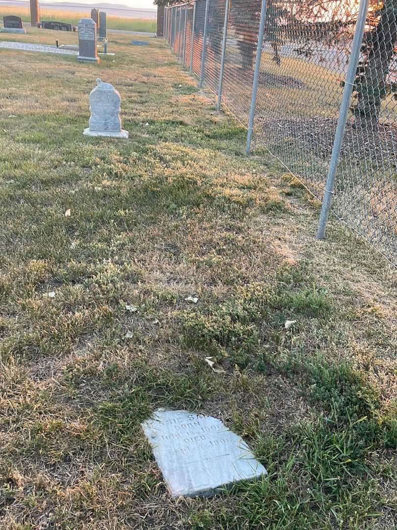 Jessie Sara Farrer's grave. Photo 2