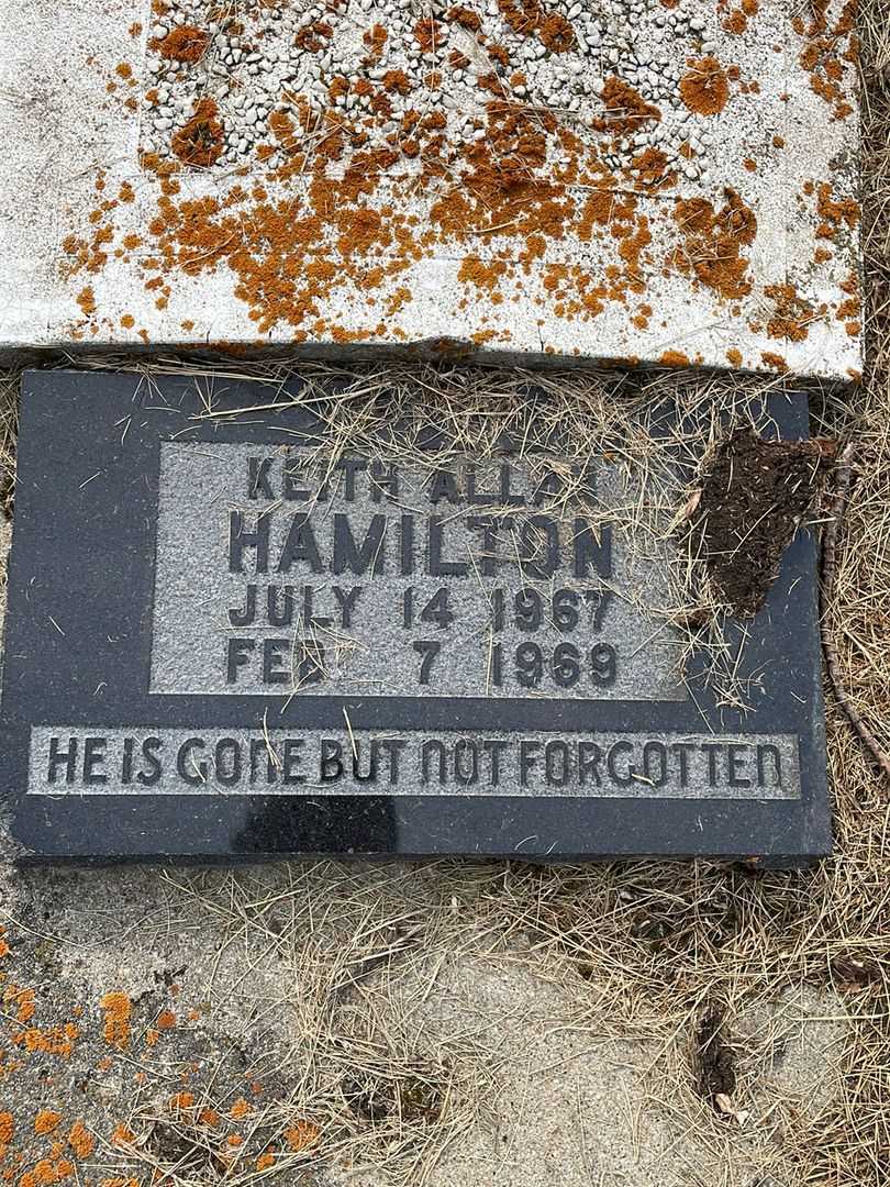 L. Rynae Jackson's grave. Photo 4