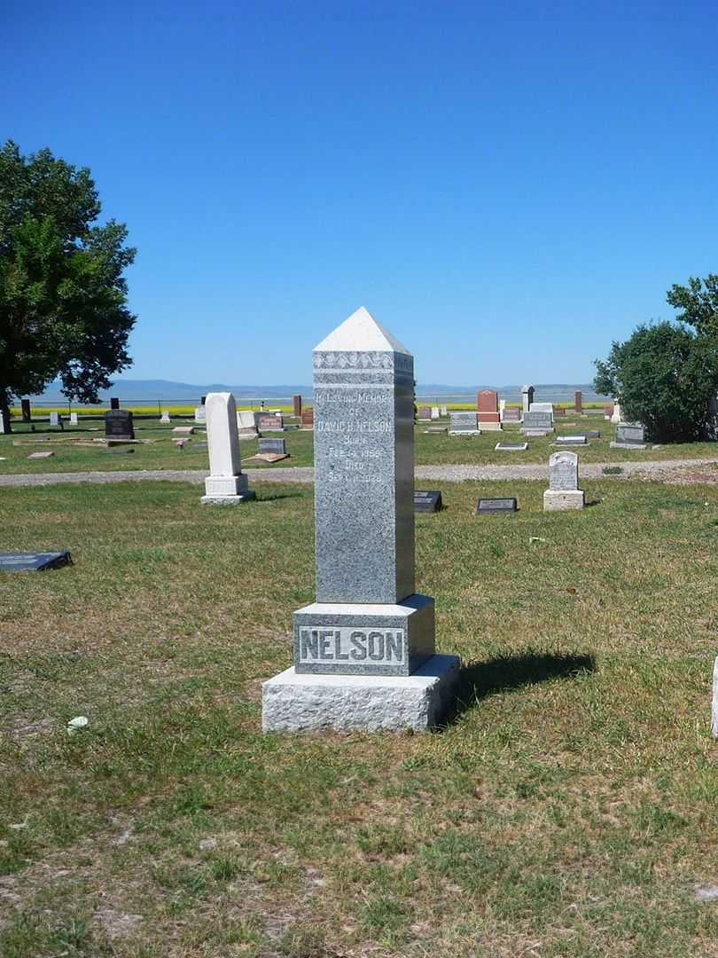 David Henry Nelson's grave. Photo 2