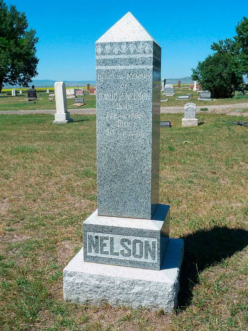 David Henry Nelson's grave. Photo 1