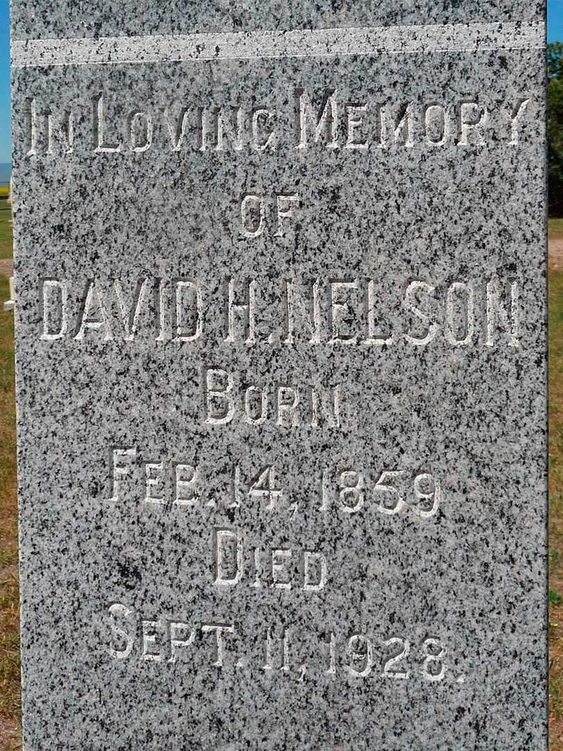 David Henry Nelson's grave. Photo 3
