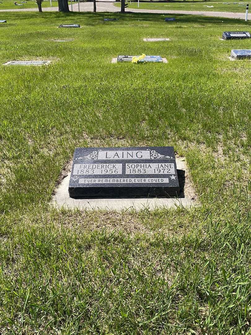 Frederick Henry Laing's grave. Photo 2