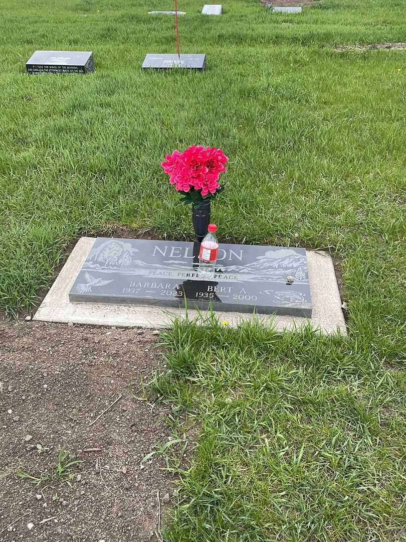 Bert Allen Nelson's grave. Photo 2