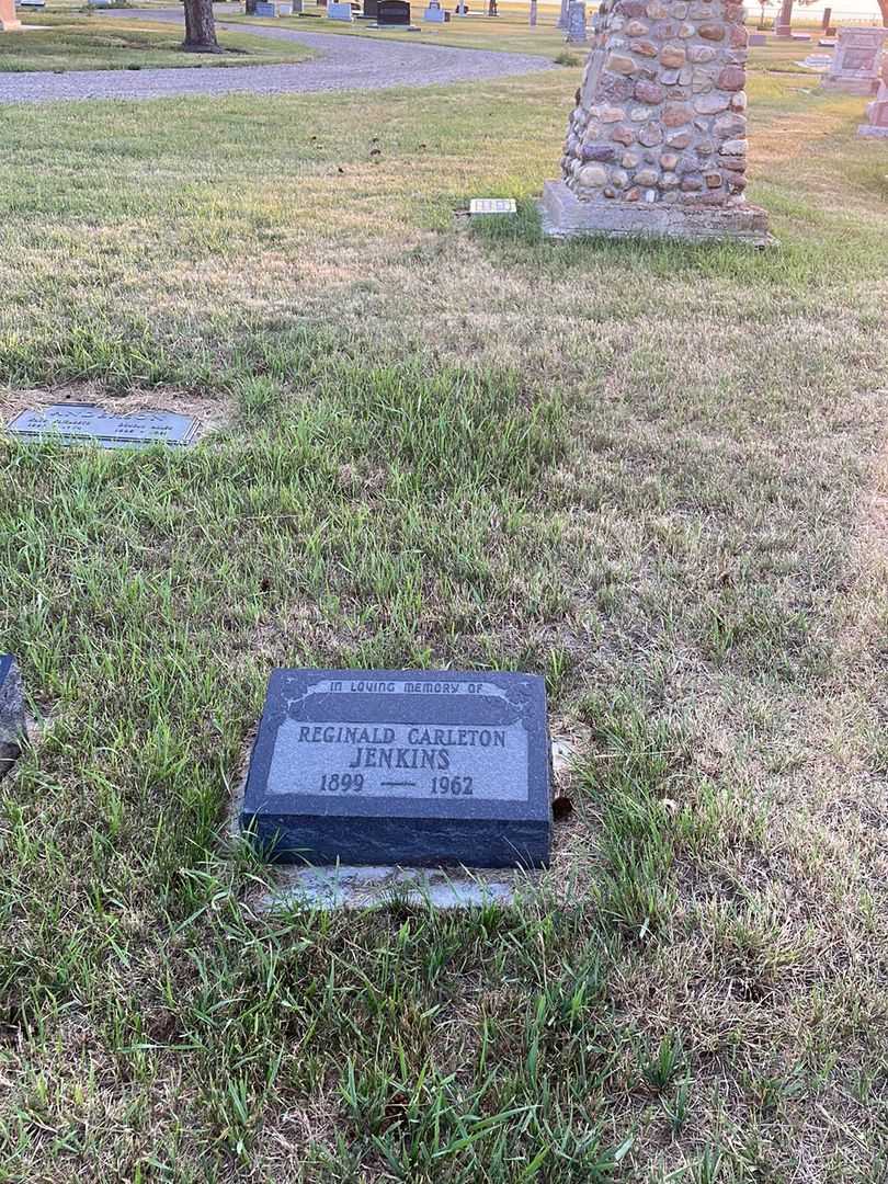 Reginald Carleton Jenkins's grave. Photo 2