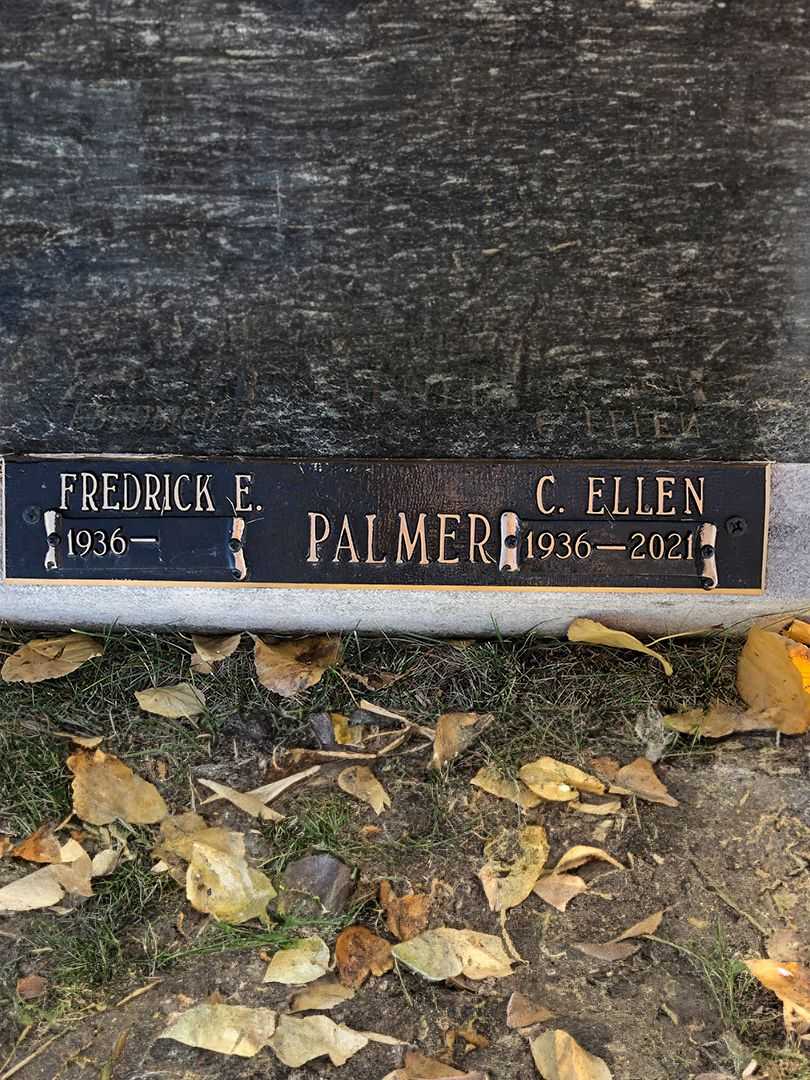 Eldred Merton Palmer's grave. Photo 3