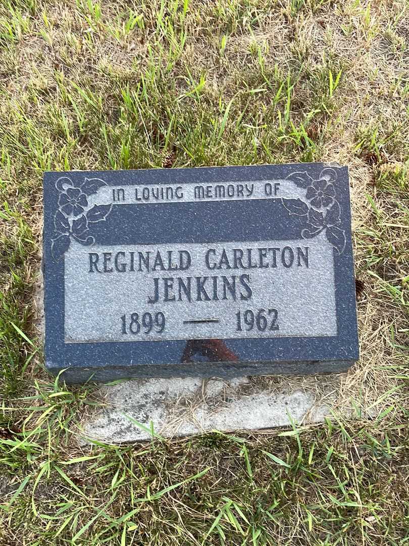 Reginald Carleton Jenkins's grave. Photo 1